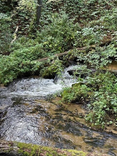 Roztocze Środkowe– Szlak Szumów 