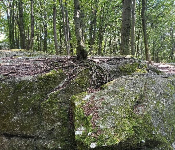 Poznaj Roztocze moimi oczami, Polską Toskanię 